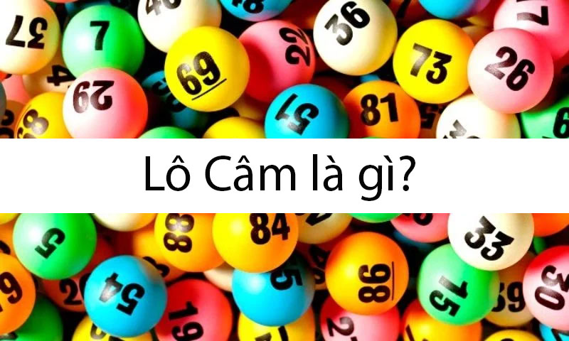 Lô câm là gì? Kinh nghiệm soi lô câm nào hiệu quả?