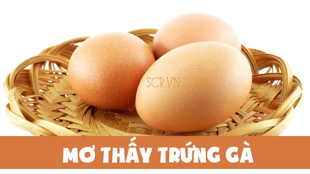 Mơ thấy trứng rắn cược số nào